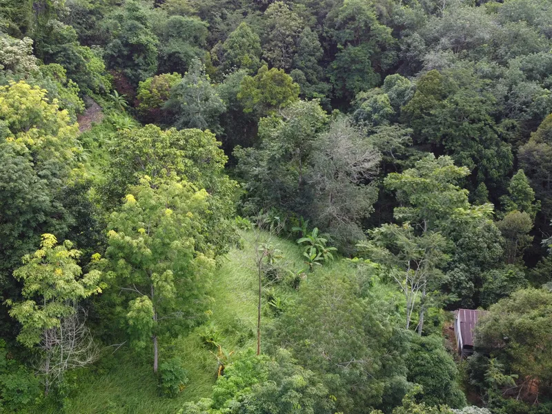 5,841 sqm Hillside Land for Sale, Bang Pae, Pa Klok, Freehold - Pa Klok, Phuket - Main photo