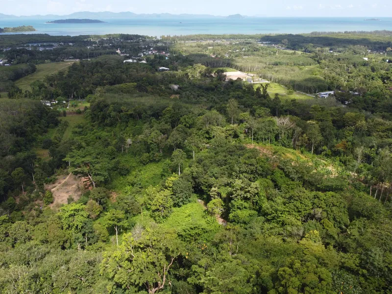 5,841 sqm Hillside Land for Sale, Bang Pae, Pa Klok, Freehold - Pa Klok, Phuket - Main photo