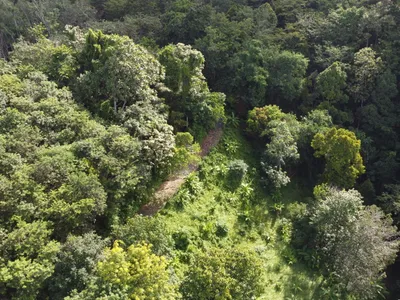 5,841 sqm Hillside Land for Sale, Bang Pae, Pa Klok, Freehold - Pa Klok, Phuket - Photo 13