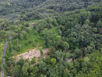 5,841 sqm Hillside Land for Sale, Bang Pae, Pa Klok, Freehold - Pa Klok, Phuket - See all photos