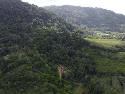 5,841 sqm Hillside Land for Sale, Bang Pae, Pa Klok, Freehold - Pa Klok, Phuket - Photo 2