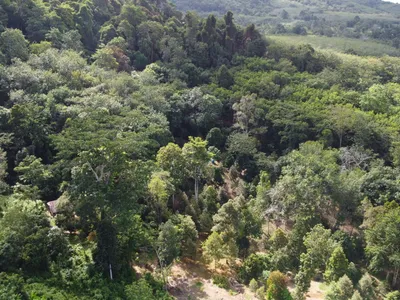 5,841 sqm Hillside Land for Sale, Bang Pae, Pa Klok, Freehold - Pa Klok, Phuket - Photo 12