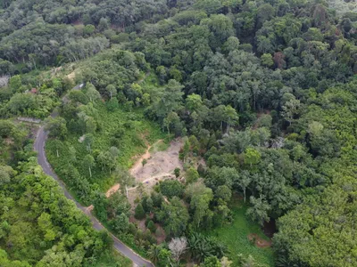 5,841 sqm Hillside Land for Sale, Bang Pae, Pa Klok, Freehold - Pa Klok, Phuket - Photo 4