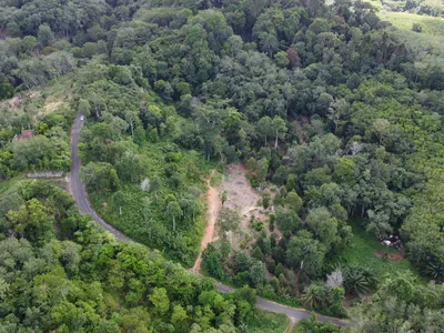 5,841 sqm Hillside Land for Sale, Bang Pae, Pa Klok, Freehold - Pa Klok, Phuket - Photo 3