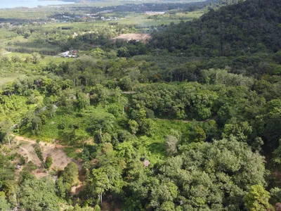 5,841 sqm Hillside Land for Sale, Bang Pae, Pa Klok, Freehold - Pa Klok, Phuket - Photo 6