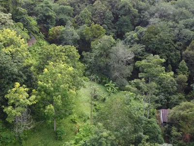 5,841 sqm Hillside Land for Sale, Bang Pae, Pa Klok, Freehold - Pa Klok, Phuket - Photo 14