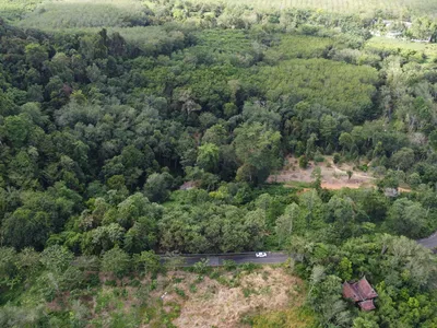 5,841 sqm Hillside Land for Sale, Bang Pae, Pa Klok, Freehold - Pa Klok, Phuket - Photo 20
