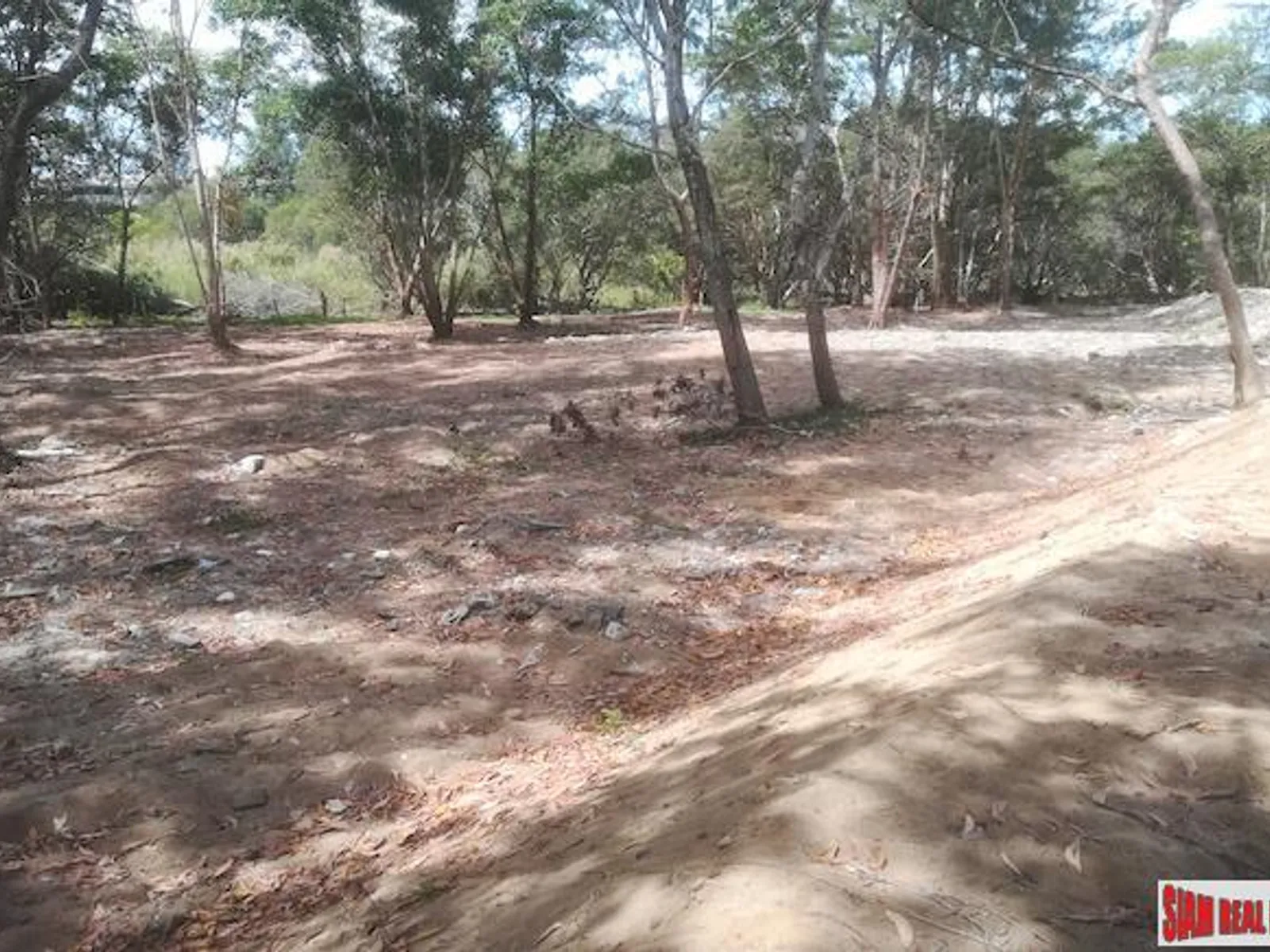 19 Rai Beachfront Land for Sale, 250m to Mai Khao Beach, Freehold - Mai Khao, Phuket - Photo 6