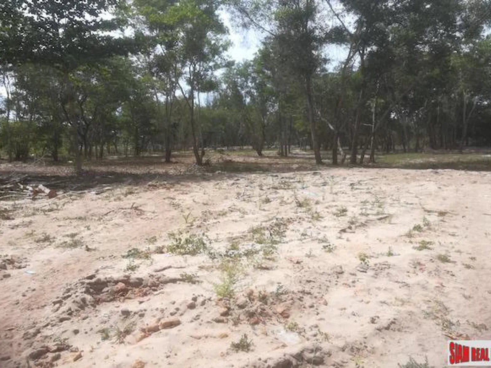 19 Rai Beachfront Land for Sale, 250m to Mai Khao Beach, Freehold - Mai Khao, Phuket - Photo 4