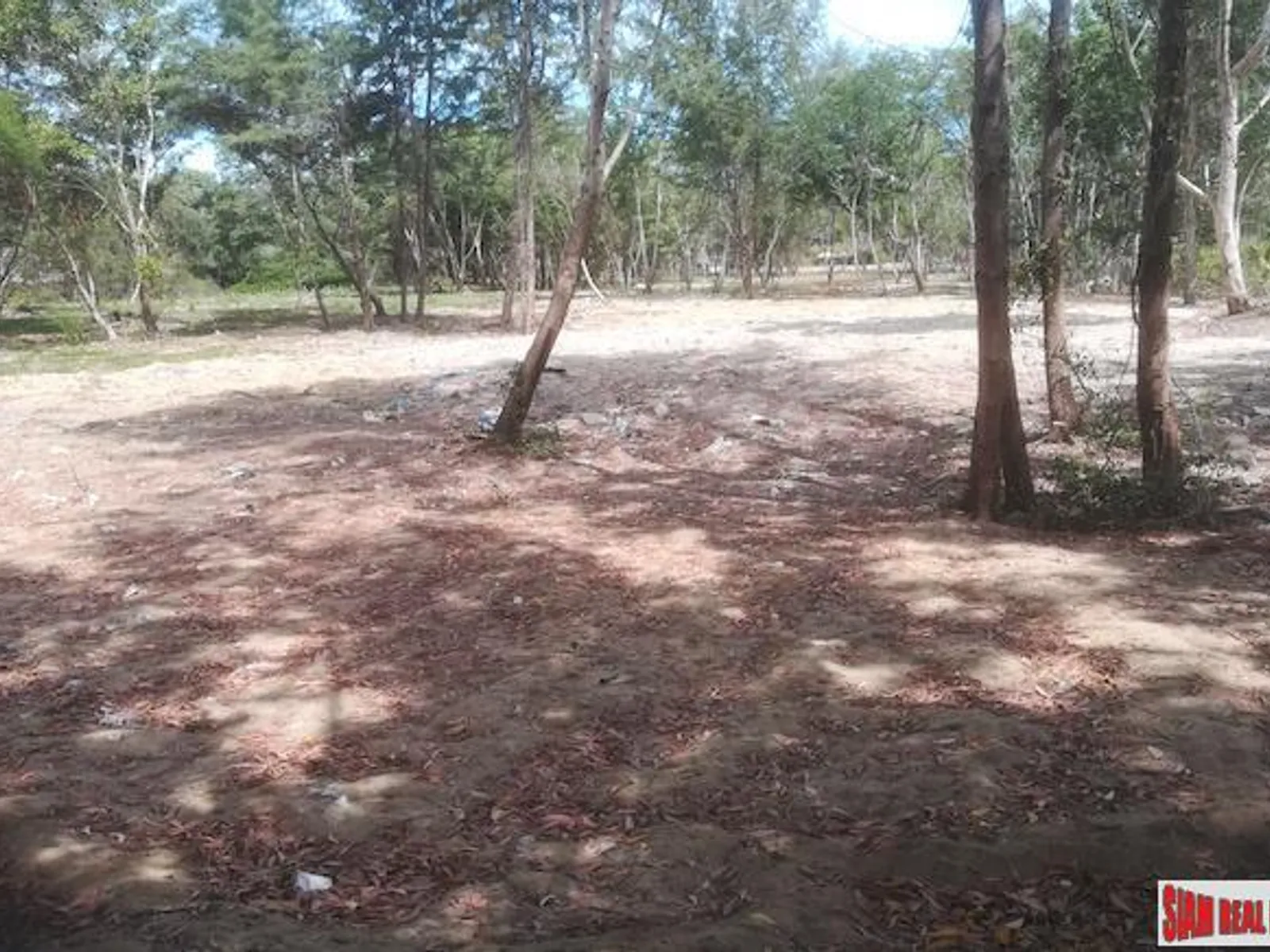 19 Rai Beachfront Land for Sale, 250m to Mai Khao Beach, Freehold - Mai Khao, Phuket - Photo 3