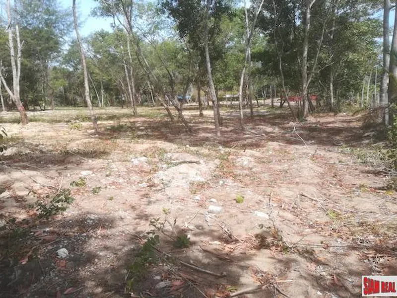 19 Rai Beachfront Land for Sale, 250m to Mai Khao Beach, Freehold - Mai Khao, Phuket - Main photo