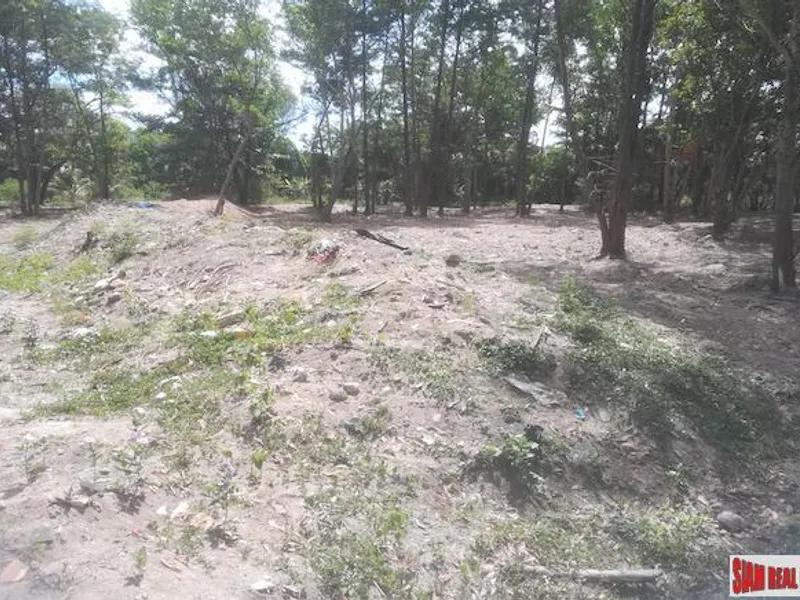 19 Rai Beachfront Land for Sale, 250m to Mai Khao Beach, Freehold - Mai Khao, Phuket - Main photo