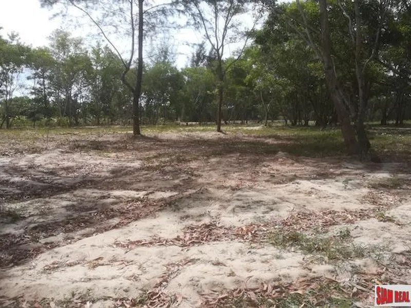 19 Rai Beachfront Land for Sale, 250m to Mai Khao Beach, Freehold - Mai Khao, Phuket - Main photo