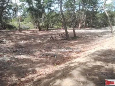 19 Rai Beachfront Land for Sale, 250m to Mai Khao Beach, Freehold - Mai Khao, Phuket - Photo 6