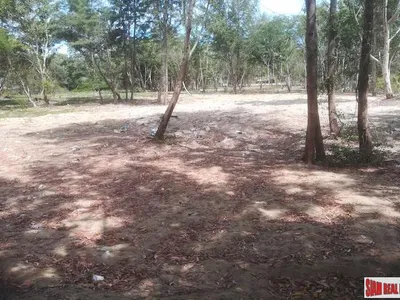 19 Rai Beachfront Land for Sale, 250m to Mai Khao Beach, Freehold - Mai Khao, Phuket - Photo 3