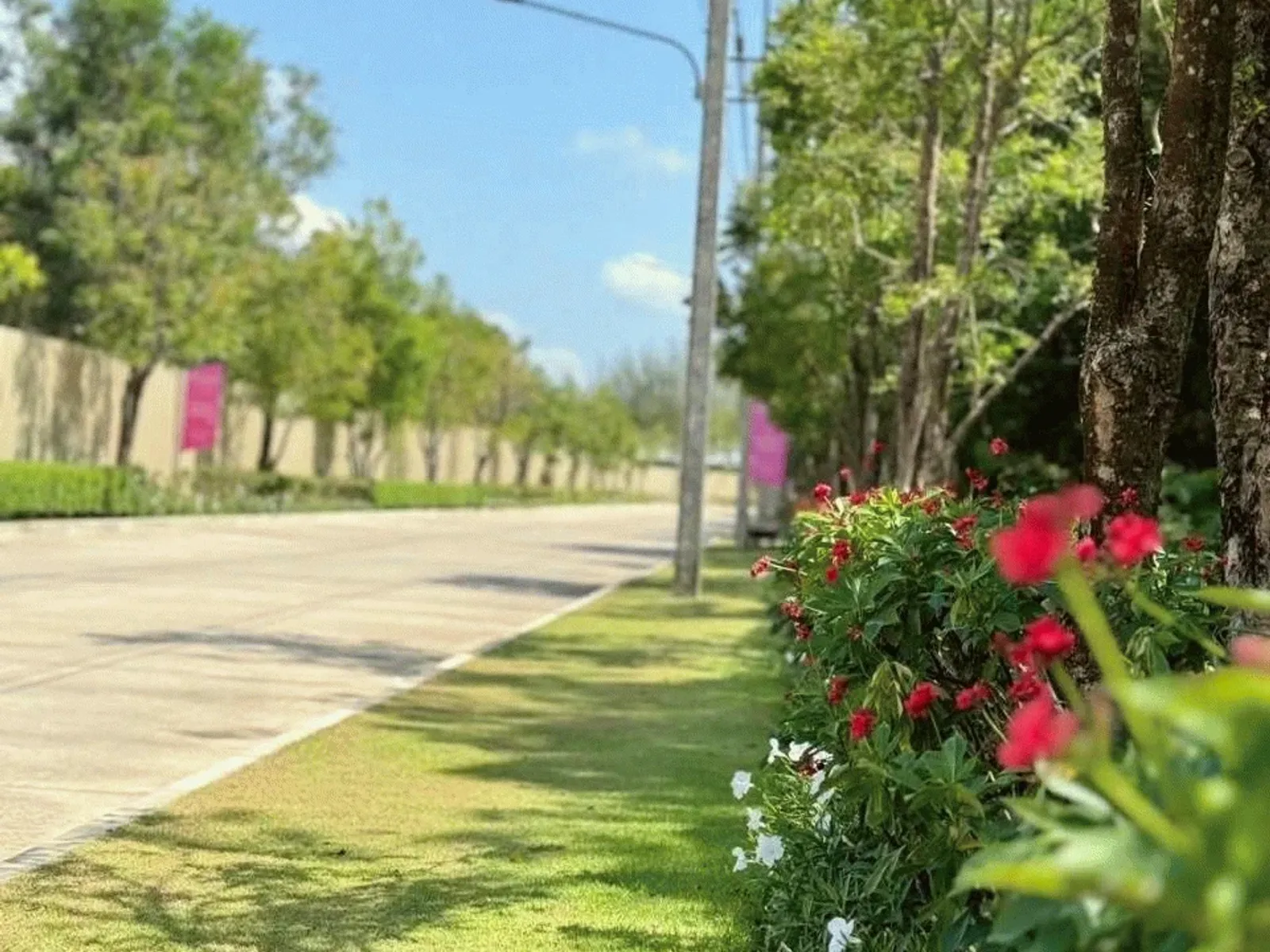 2-Bedroom Brand-New House for Rent, Mai Khao, Siriplace - Mai Khao, Phuket - Photo 14