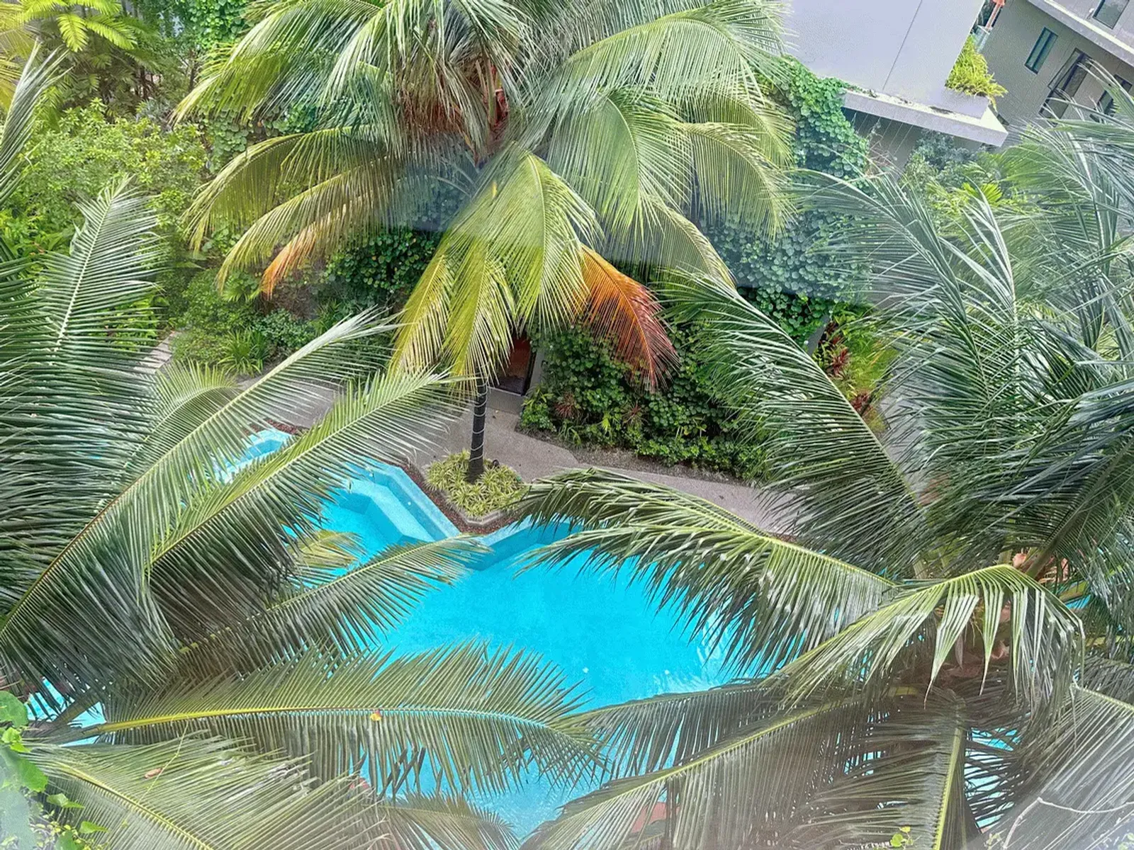 Diamond Condominium, Studio Condo for Sale, Bang Tao, Freehold - Bang Tao, Phuket - Photo 3