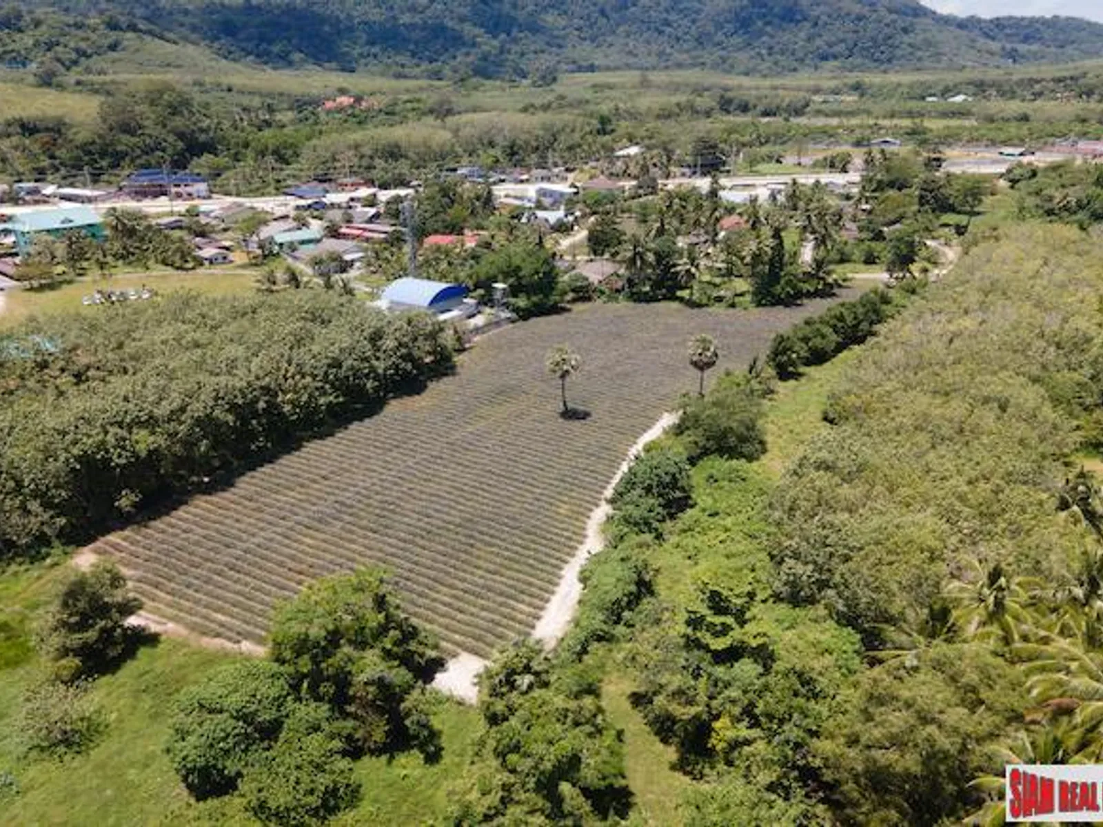 5.5 Rai Flat Land for Sale, Mission Hills, Thalang, Sub-Divided - Mission Hill, Phuket - Photo 6
