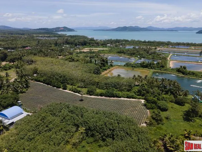 5.5 Rai Flat Land for Sale, Mission Hills, Thalang, Sub-Divided - Mission Hill, Phuket - Main photo