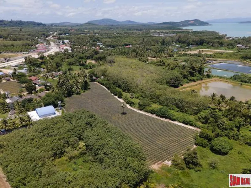 5.5 Rai Flat Land for Sale, Mission Hills, Thalang, Sub-Divided - Mission Hill, Phuket - Main photo
