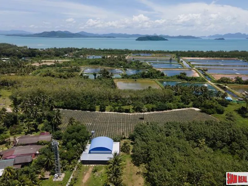 5.5 Rai Flat Land for Sale, Mission Hills, Thalang, Sub-Divided - Mission Hill, Phuket - Main photo