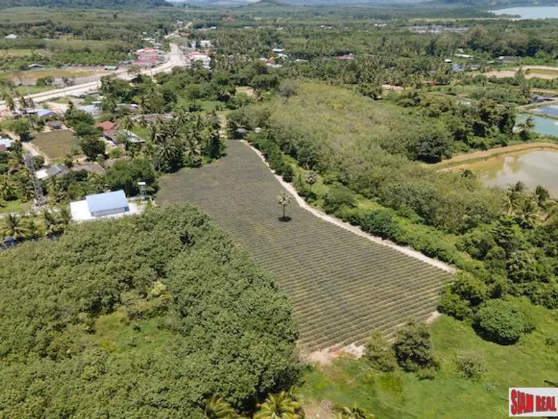 5.5 Rai Flat Land for Sale, Mission Hills, Thalang, Sub-Divided - Mission Hill, Phuket - Main photo