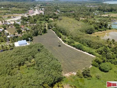 5.5 Rai Flat Land for Sale, Mission Hills, Thalang, Sub-Divided - Mission Hill, Phuket - Photo 10