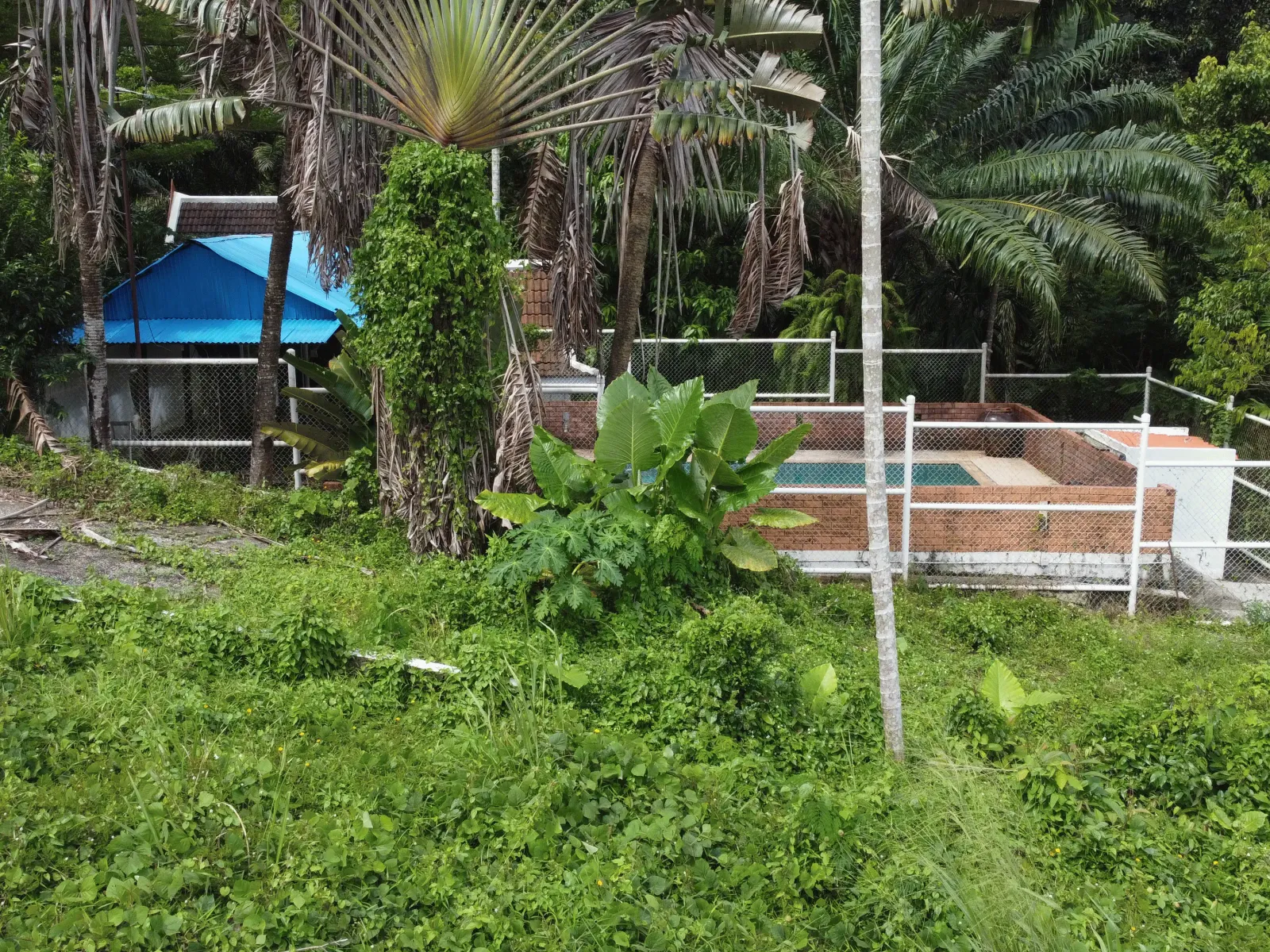 1,428 sqm Mountain View Land for Sale, Chalong, Freehold - Chalong, Phuket - Photo 11