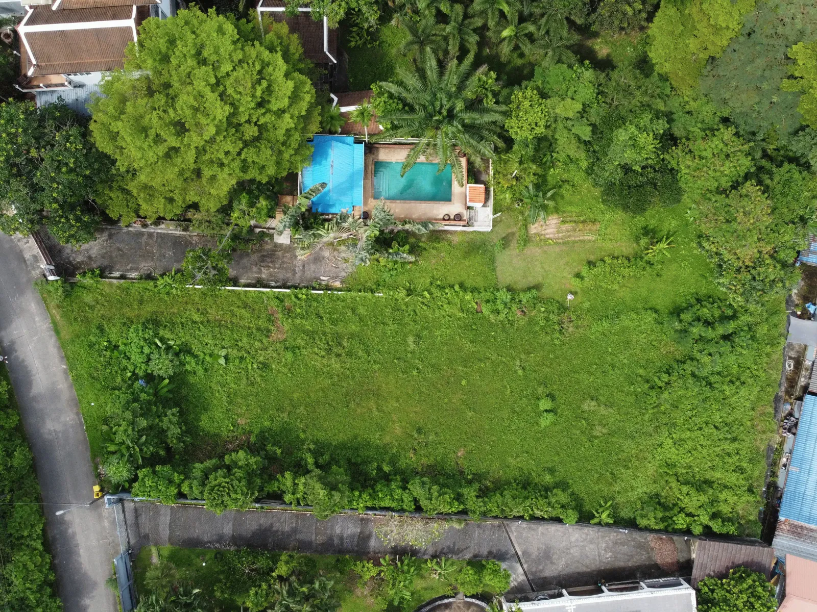 1,428 sqm Mountain View Land for Sale, Chalong, Freehold - Chalong, Phuket - Photo 20