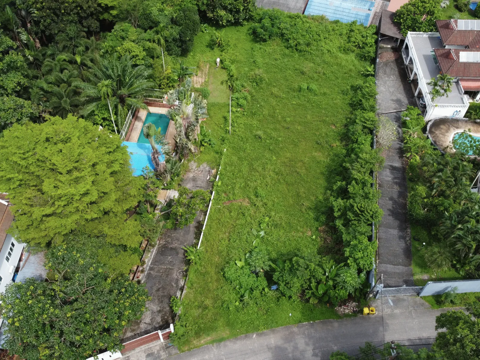 1,428 sqm Mountain View Land for Sale, Chalong, Freehold - Chalong, Phuket - Photo 7