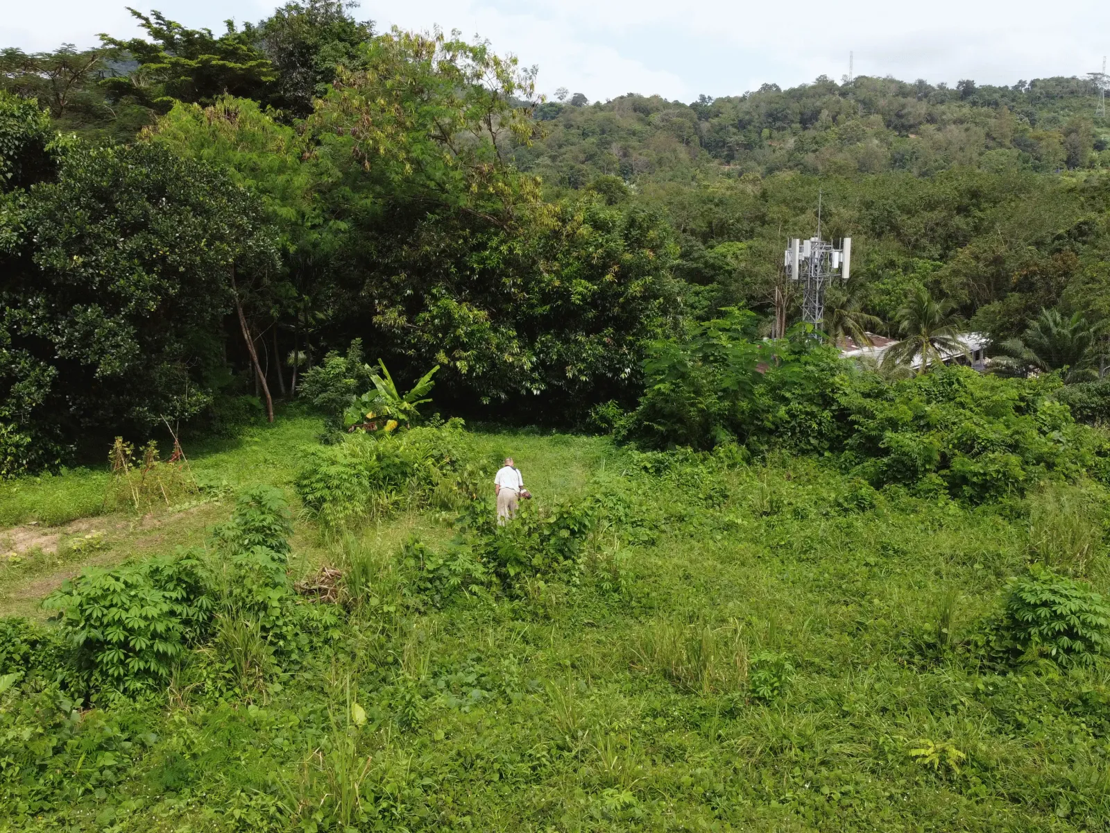 1,428 sqm Mountain View Land for Sale, Chalong, Freehold - Chalong, Phuket - Photo 16
