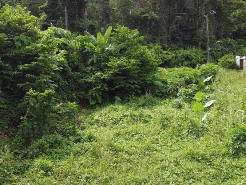 1,428 sqm Mountain View Land for Sale, Chalong, Freehold - Chalong, Phuket - Main photo