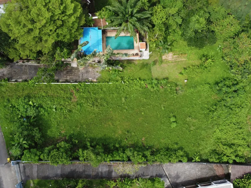 1,428 sqm Mountain View Land for Sale, Chalong, Freehold - Chalong, Phuket - Main photo