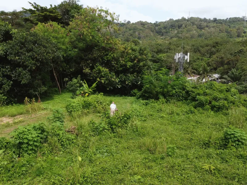 1,428 sqm Mountain View Land for Sale, Chalong, Freehold - Chalong, Phuket - Main photo