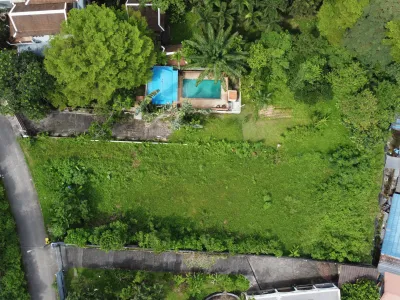 1,428 sqm Mountain View Land for Sale, Chalong, Freehold - Chalong, Phuket - Photo 20