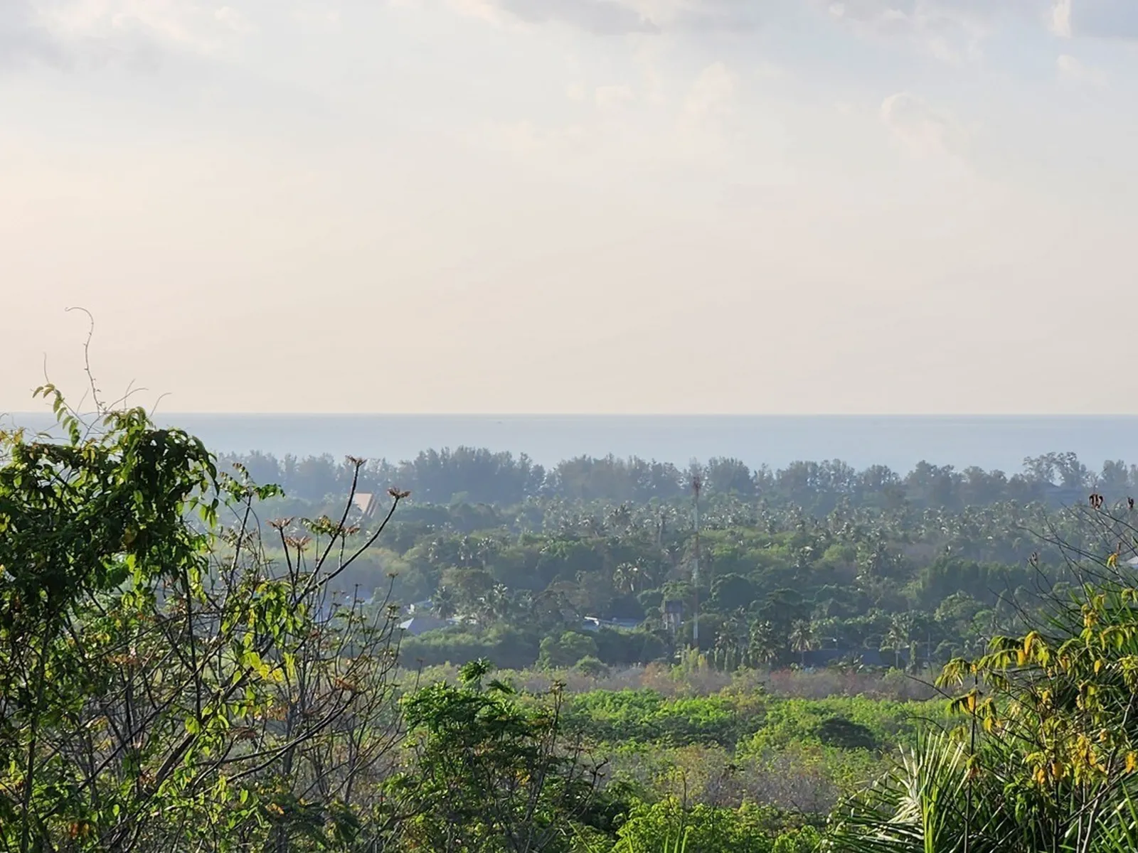 5 Rai Sea View Land for Sale, Mai Khao, Freehold - Mai Khao, Phuket - Photo 7