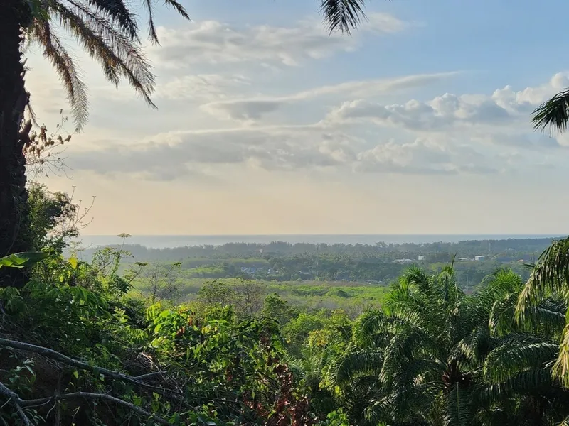5 Rai Sea View Land for Sale, Mai Khao, Freehold - Mai Khao, Phuket - Main photo