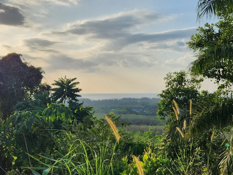 5 Rai Sea View Land for Sale, Mai Khao, Freehold - Mai Khao, Phuket - Main photo