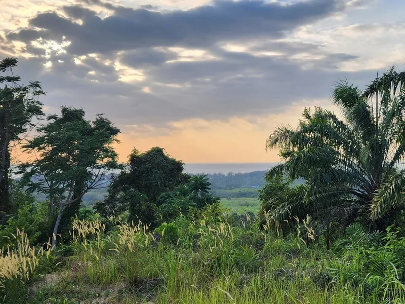 5 Rai Sea View Land for Sale, Mai Khao, Freehold - Mai Khao, Phuket - Main photo