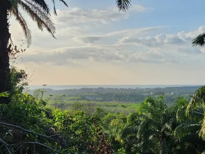 5 Rai Sea View Land for Sale, Mai Khao, Freehold - Mai Khao, Phuket - Photo 8