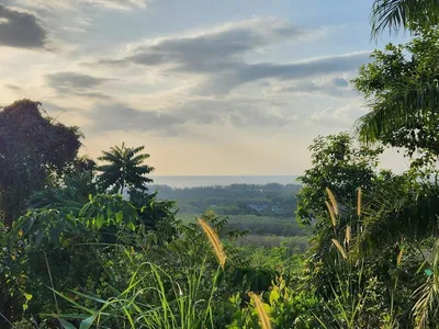 5 Rai Sea View Land for Sale, Mai Khao, Freehold - Mai Khao, Phuket - Photo 12