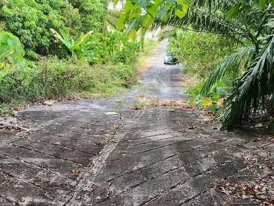 5 Rai Sea View Land for Sale, Mai Khao, Freehold - Mai Khao, Phuket - Photo 3