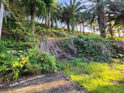 5 Rai Sea View Land for Sale, Mai Khao, Freehold - Mai Khao, Phuket - Photo 15