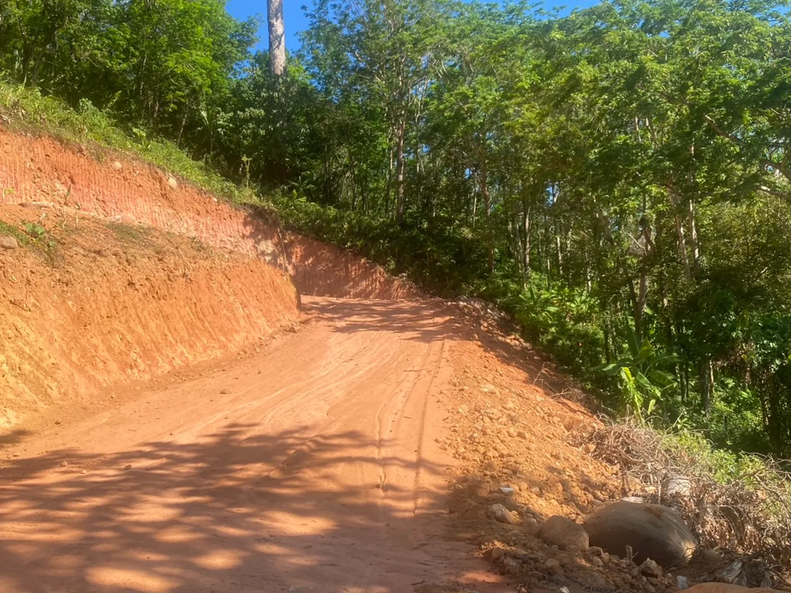 6 Rai 2 Ngan Land for Sale, 1km to Nai Thon Beach, Freehold - Nai Thon, Phuket - Photo 16
