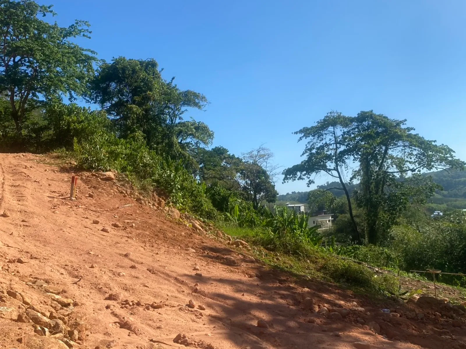 6 Rai 2 Ngan Land for Sale, 1km to Nai Thon Beach, Freehold - Nai Thon, Phuket - Photo 7