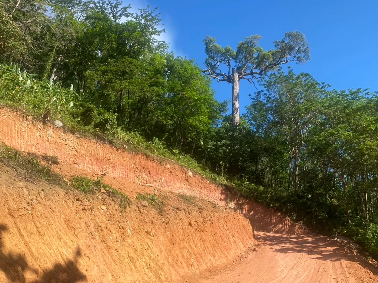 6 Rai 2 Ngan Land for Sale, 1km to Nai Thon Beach, Freehold - Nai Thon, Phuket - Photo 13