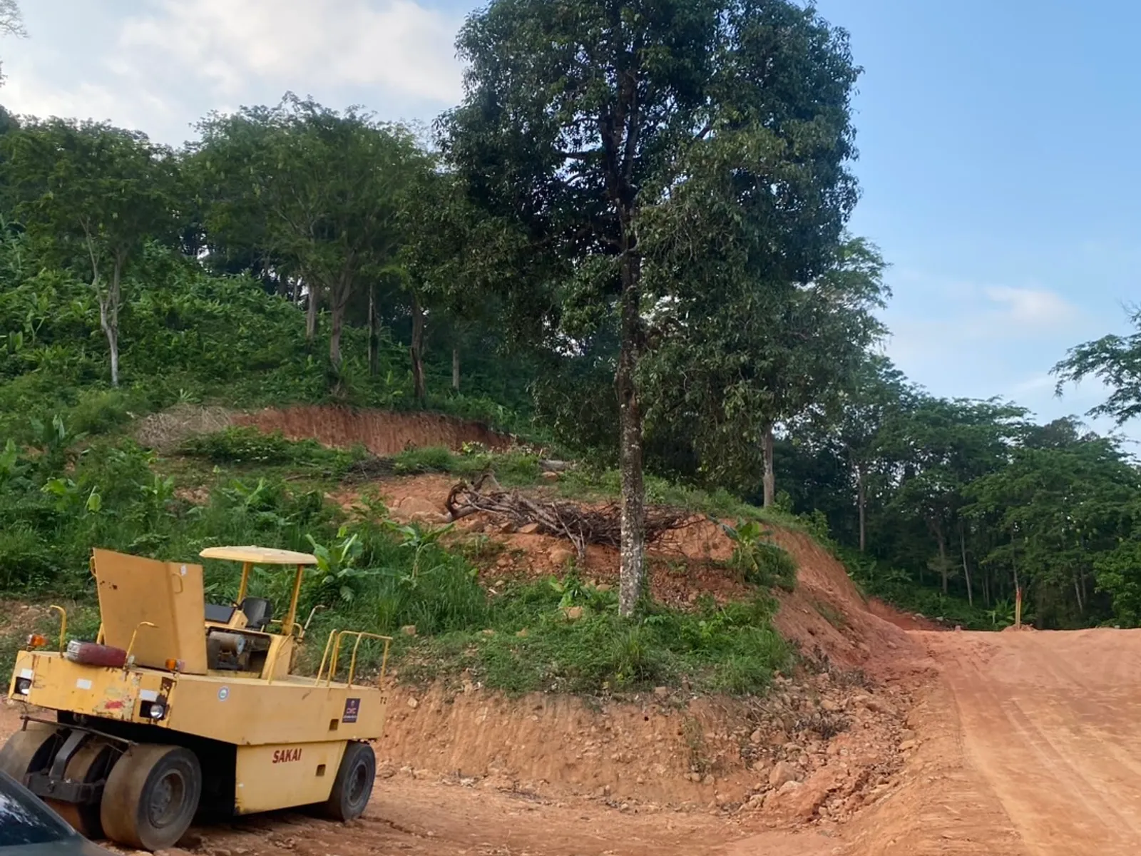 6 Rai 2 Ngan Land for Sale, 1km to Nai Thon Beach, Freehold - Nai Thon, Phuket - Photo 2