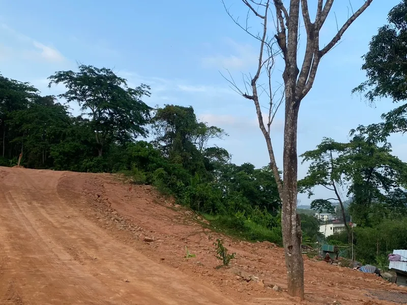 6 Rai 2 Ngan Land for Sale, 1km to Nai Thon Beach, Freehold - Nai Thon, Phuket - Main photo