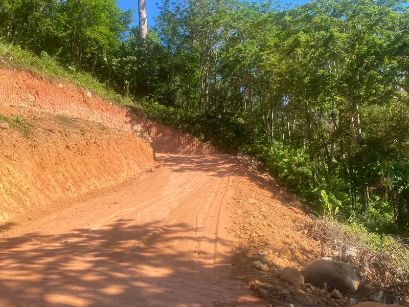 6 Rai 2 Ngan Land for Sale, 1km to Nai Thon Beach, Freehold - Nai Thon, Phuket - Main photo