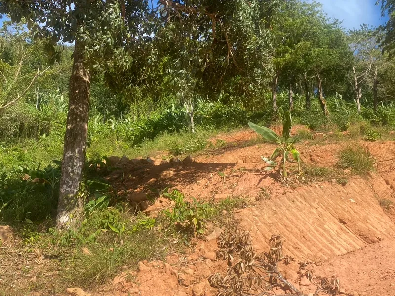 6 Rai 2 Ngan Land for Sale, 1km to Nai Thon Beach, Freehold - Nai Thon, Phuket - Main photo